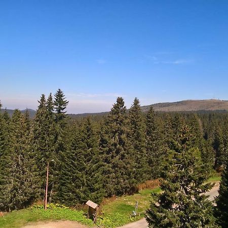 Apartman-Vila Nikola, 064Jedansedamdvatridevetnulatri Kopaonik Exterior foto